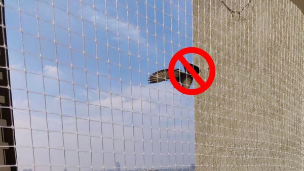 Discreet pigeon net installed on a building balcony
