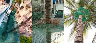 A safety net installed under a coconut tree to catch falling coconuts.